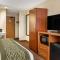 Comfort Inn Okemos - East Lansing