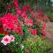 Fourfields Hogsback