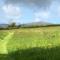 Swallows Return - Clynderwen