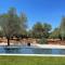 OSTUNI MIRROR trullo and mirror house