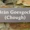 Bran Goesgoch