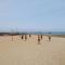 Golden Sands II