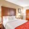 Comfort Inn Greenville - Haywood Mall