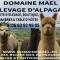 ALPAGAS DU DOMAINE MAEL