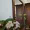Guruwaththa Eco Lodge - Hikkaduwa