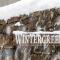 Wintergreen 5 - ثريدبو