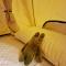 Dulan Groundnut Backpacker Hostel