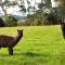 Loddon Retreat- picturesque country escape