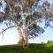 Loddon Retreat- picturesque country escape