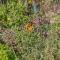 Finca CAN LLORENC by Mallorca Villa Selection