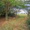 Secluded cottage in pretty countryside with woods & walks - Bradleys Barn - Boxted