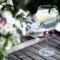 Boutique-Hotel Amalienhof