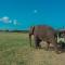 Green Grass Homestay