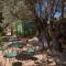 Agroturismo Son Penyaflor