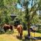 Kiambram Country Cottages - Gowrie Little Plain