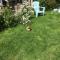 1 Bed Caravan Sleeps 2 - Parking Garden Pets