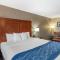 Comfort Inn Evansville-Casper - Evansville