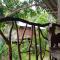 Sigiri Panaromic Tree House - 锡吉里亚
