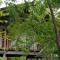 Sigiri Panaromic Tree House - 锡吉里亚