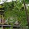 Sigiri Panaromic Tree House - Sigiriya