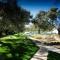 Villa with great pool dog friendly