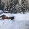 Chalet Chardon