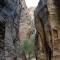 The Rock Camp Petra - Вади-Муса