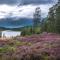 Huset Söderskogen - SWEEDS Loftahammar - Edsbruk