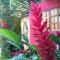 Vila Hibisco Itacaré