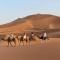 desert camp sahara luxury - Merzouga