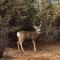 East Zion Trails Retreat-Hot tub, Resort Amenities, Exceptional