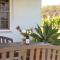 Audrey Wilkinson Vineyard