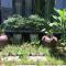 Cherry Garden Homestay