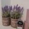Lavender Home
