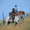 Foto: Wildhorse Mountain Guest Ranch Bed & Breakfast 17/18