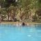 PushkarOrganic - Lux farm resort with pool - Pushkar