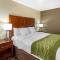 Comfort Inn & Suites North Aurora - Naperville