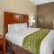 Comfort Inn & Suites North Aurora - Naperville - Орора