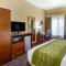 Comfort Inn & Suites North Aurora - Naperville