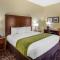 Comfort Inn & Suites North Aurora - Naperville - Орора