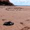 Cottages On PEI-Oceanfront - Bedeque