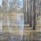 Riversands Rest Accommodation Paringa - River Box Cottage