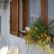 Relaxing experiences near Ancient Olympia - 阿克皮萨