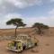 Chegaga desert Trips camp - Мхамід