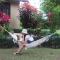 Green Mansions Jungle Resort - Sauraha
