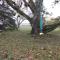 Clef Secrète