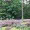 Ferienhof Timmerloher Heide
