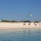Spring Tide on 28 Main Struisbaai