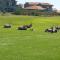 Langebaan Golf Estate - Signature Hole 24hrs power