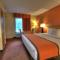 Econo Lodge Pigeon Forge Riverside - بيدجن فورج